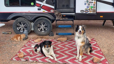 Tips for RV travel with pets